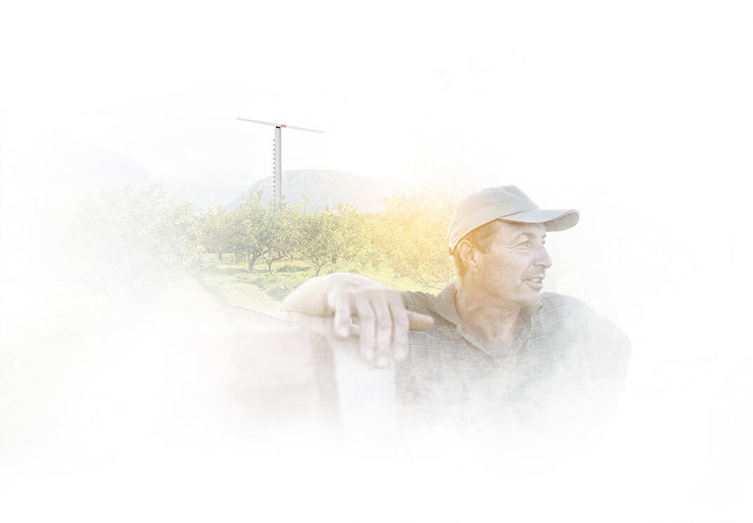 Effettua il tuo tagliando ora